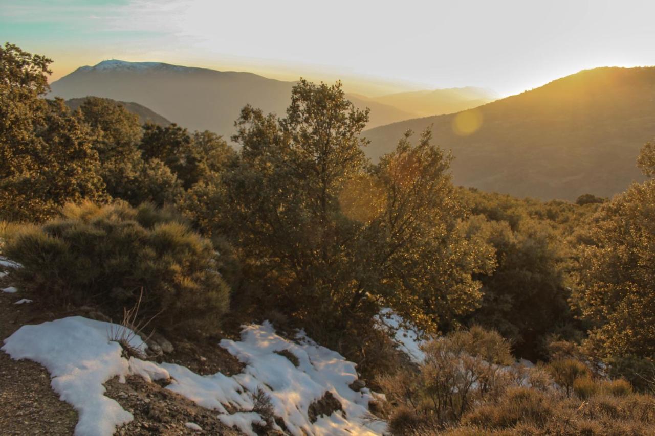 Casa Rural Catifalarga Alpujarra Capileira Bagian luar foto