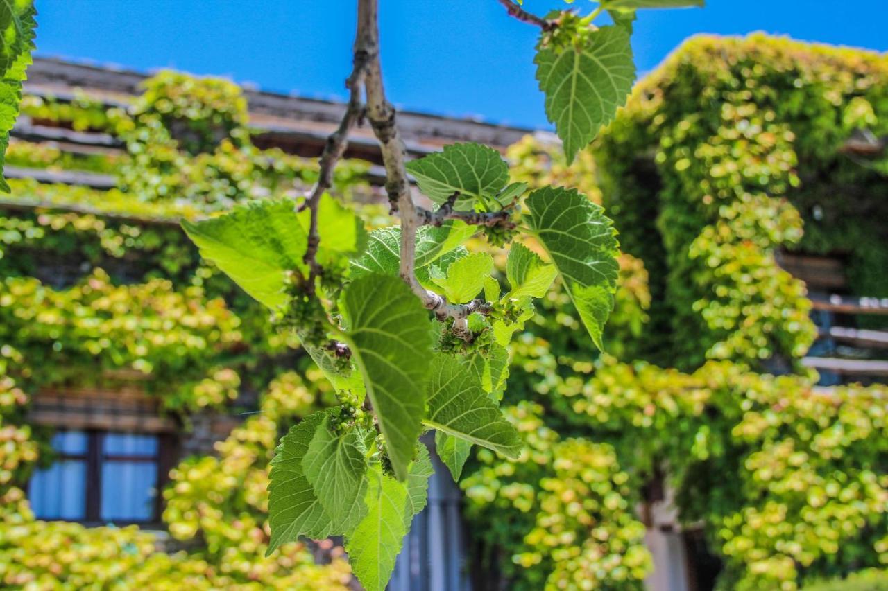 Casa Rural Catifalarga Alpujarra Capileira Bagian luar foto